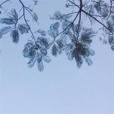 挂机少年手游